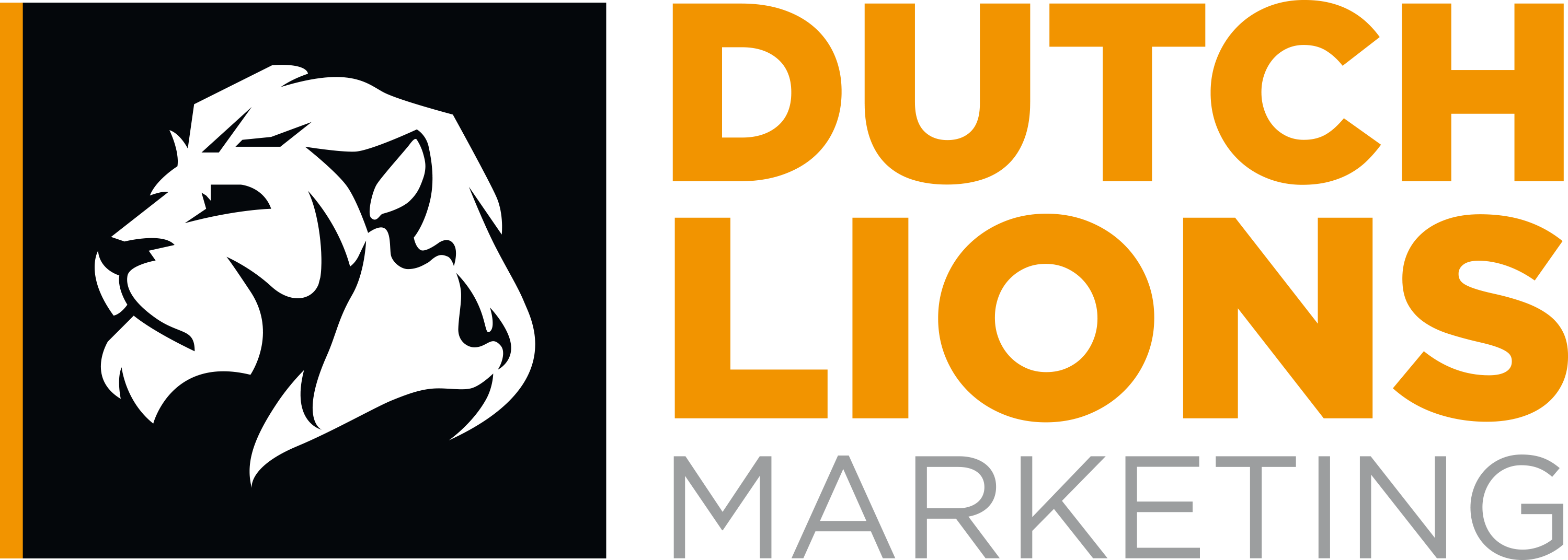 Dutch Lions Marketing logo